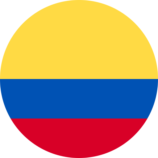 France Flag